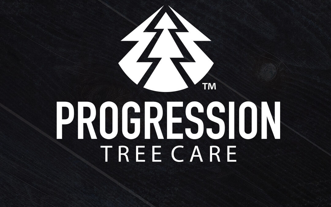 Tree Care Logo and Branding by Giant Punch
