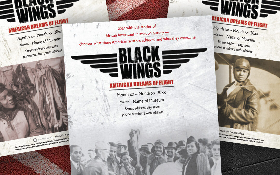 Smithsonian Aviation Promotion Design by Giant Punch
