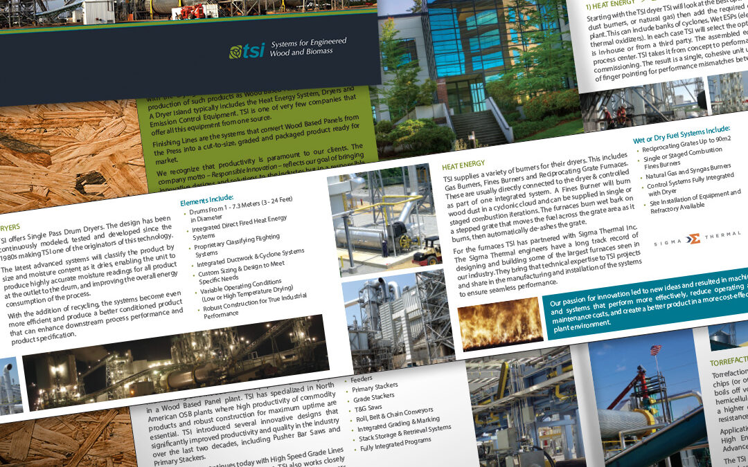 Elevating TSI’s Brand: Design-Driven Brochure by Giant Punch