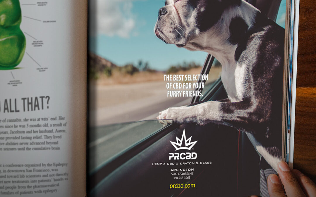 Unwind & Recharge: A Soothing CBD Ad Campaign by Giant Punch