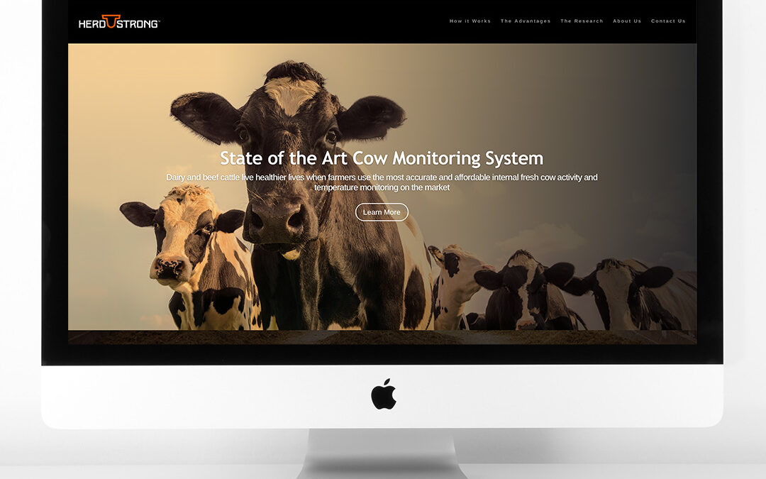 Moo! Mobile Websites for Ranchers Designed by Giant Punch